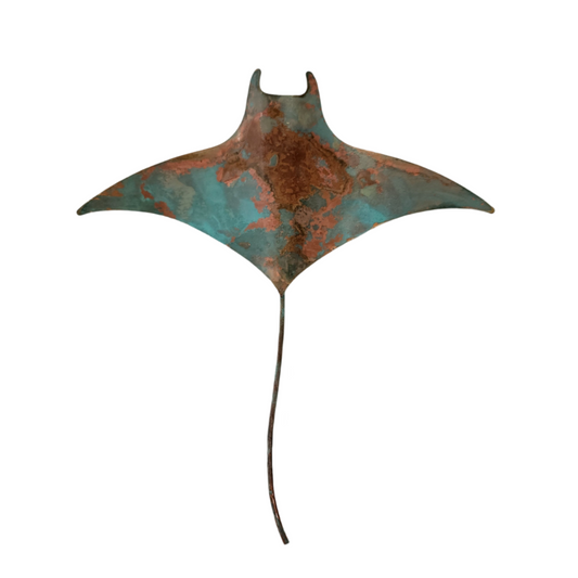 Manta Ray Medium