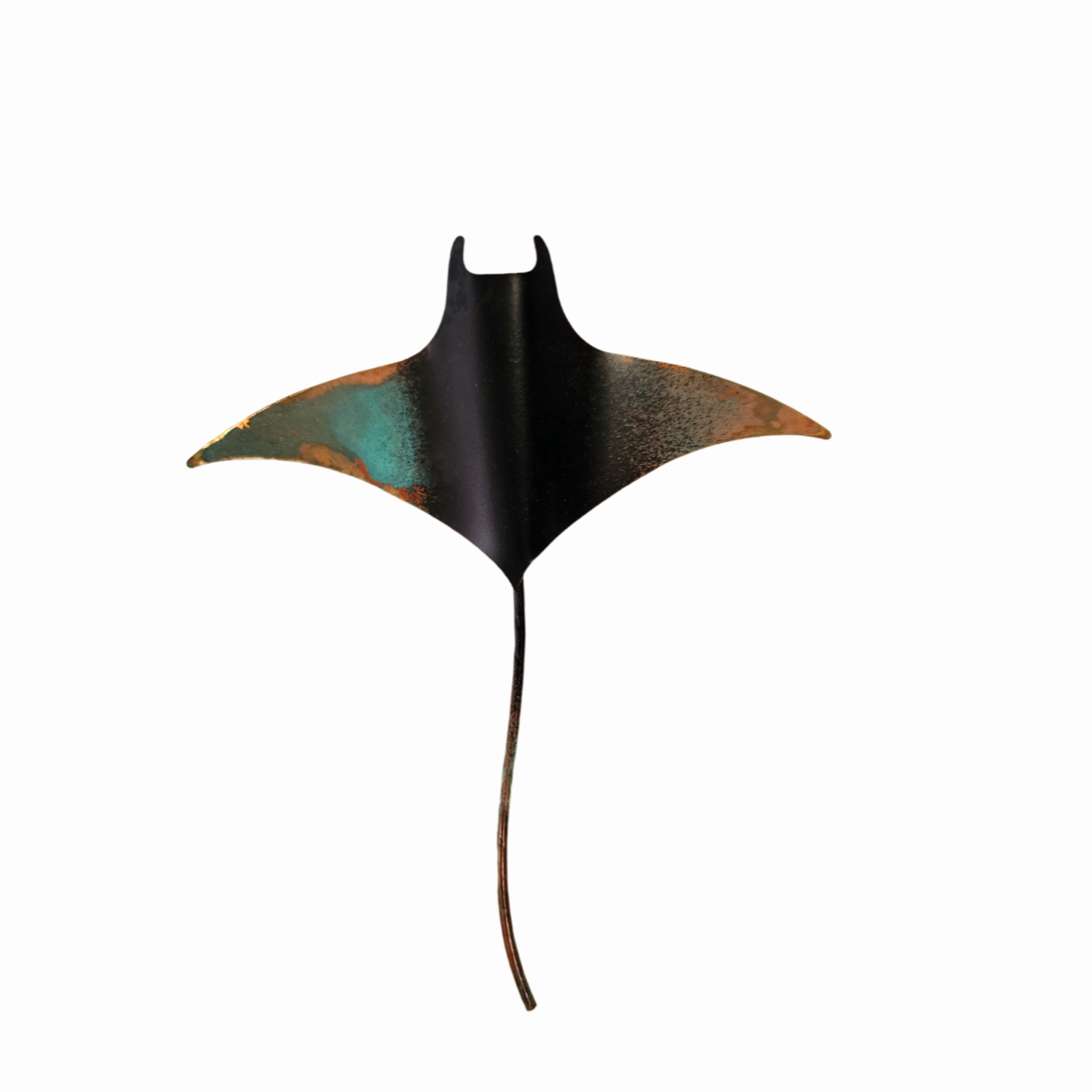 Manta Ray Small