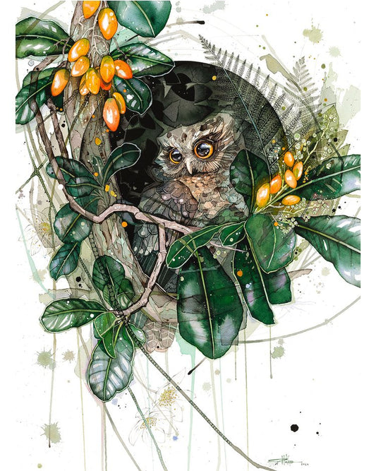 Morepork & Karaka