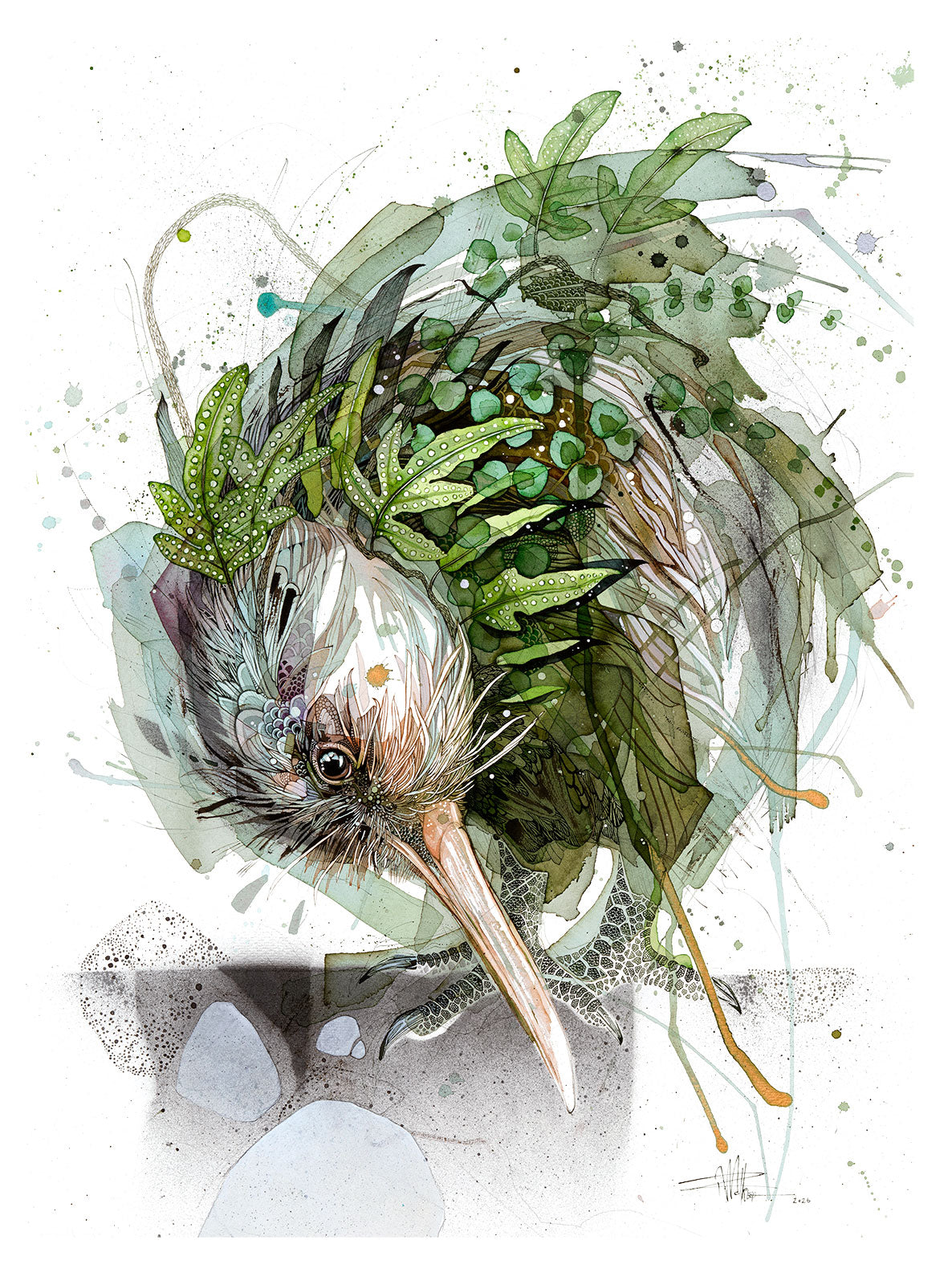 Mossy Kiwi