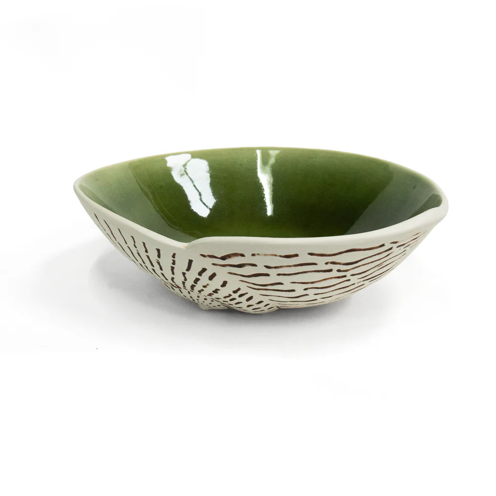 Nautilus Shell Bowls