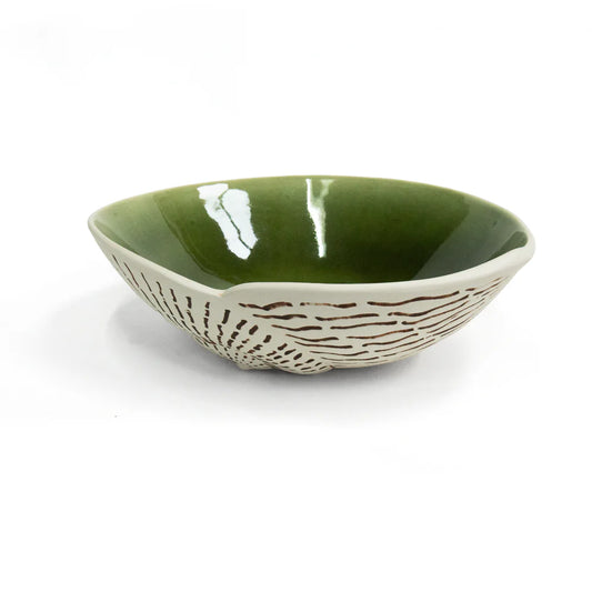Nautilus Shell Bowls