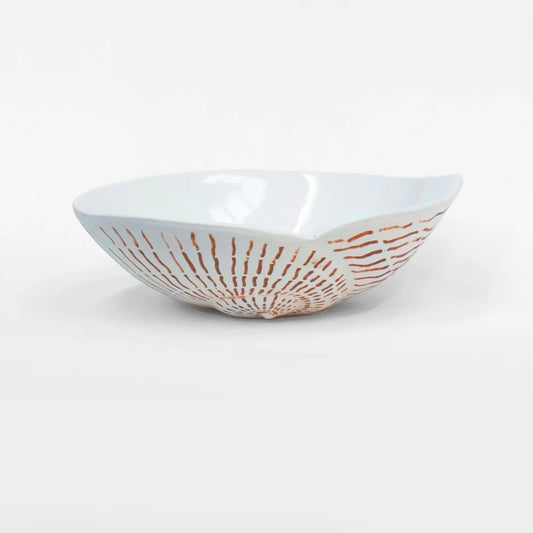 Nautilus Shell Bowls