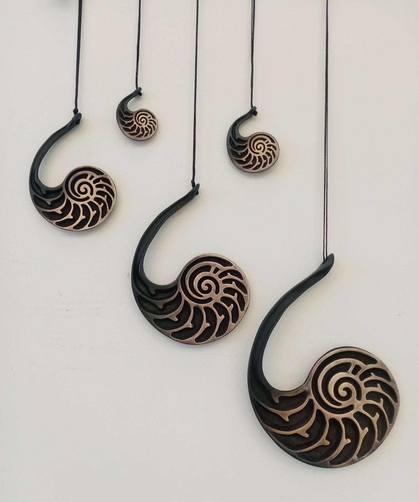 Nautilus