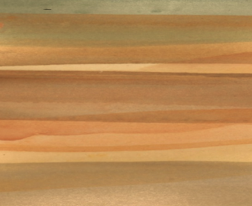 Sand Dunes - Medium Runner