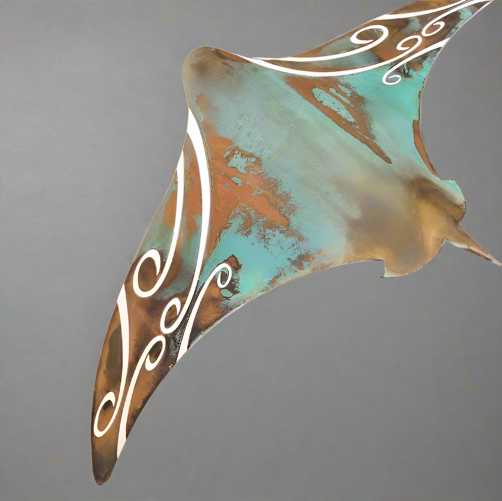 Assorted Pacific Copper Stencil Stingrays XXL