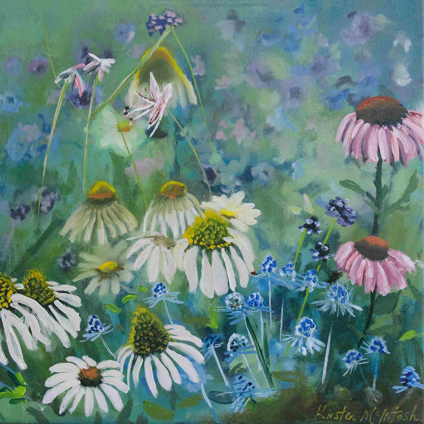 Echinacea Glow