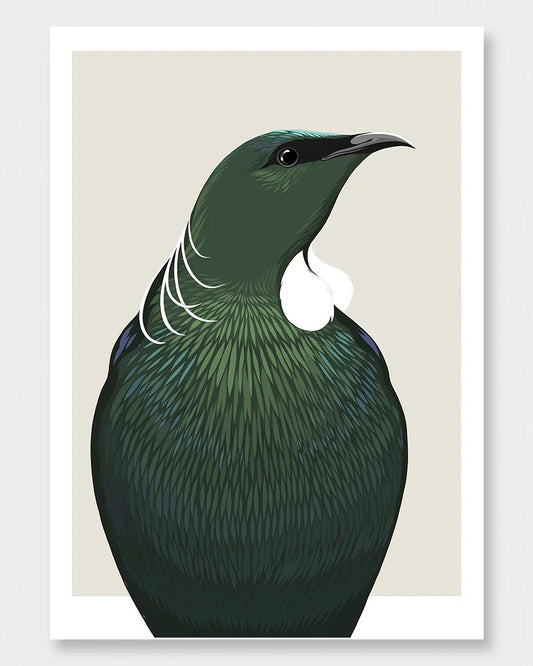 Tui Profile