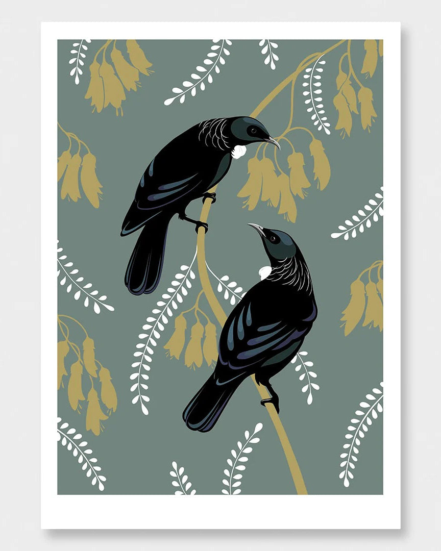 Tui Pair in Teal
