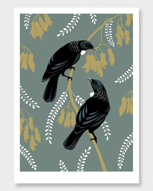 Tui Pair in Teal