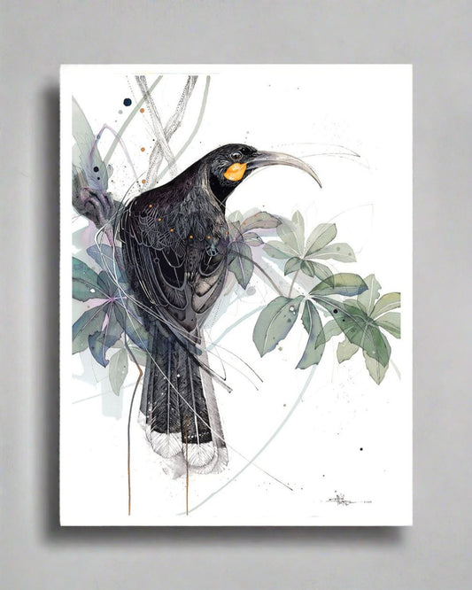 Huia Watercolour Seven-Finger