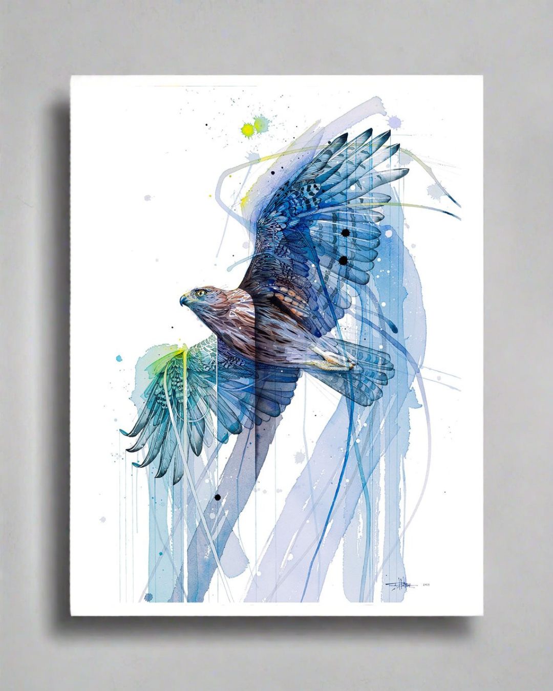 Summer Hawk