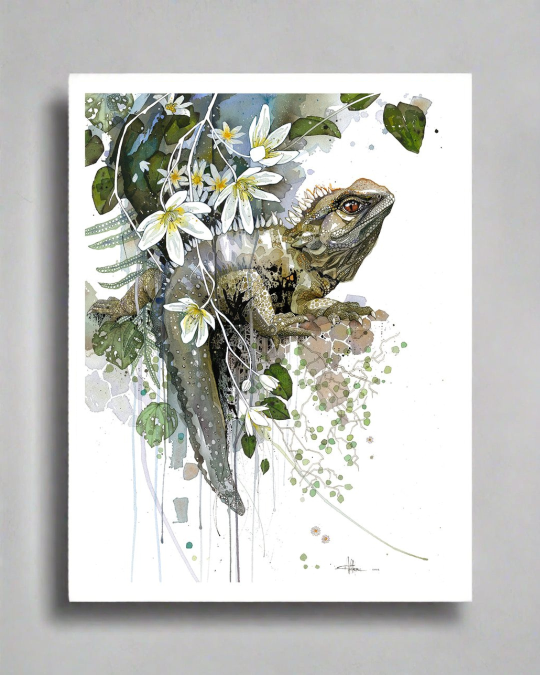 Tuatara & White Clematis