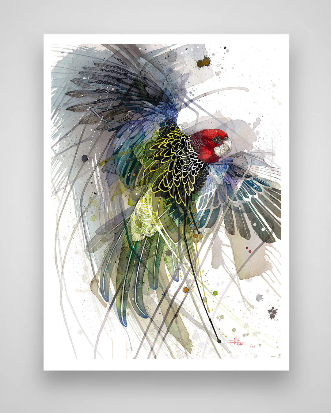 Winter Spark - The Rosella