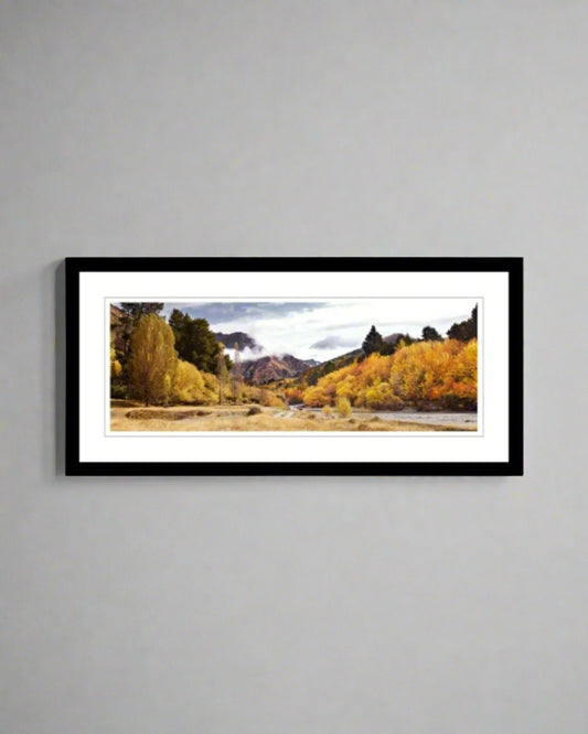 Shotover Gold