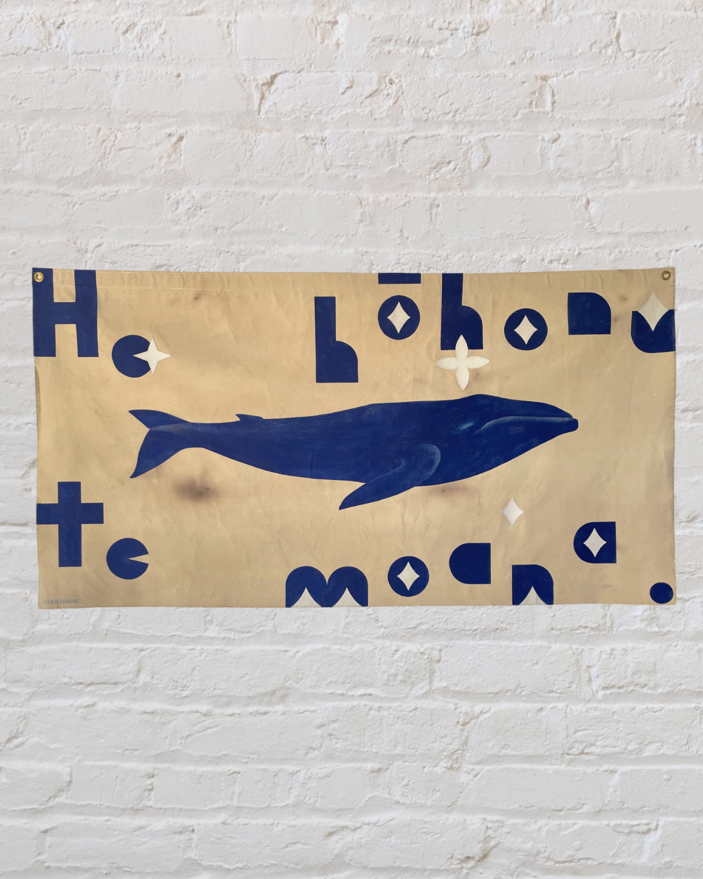 He hōhonu te moana - Blue Whale