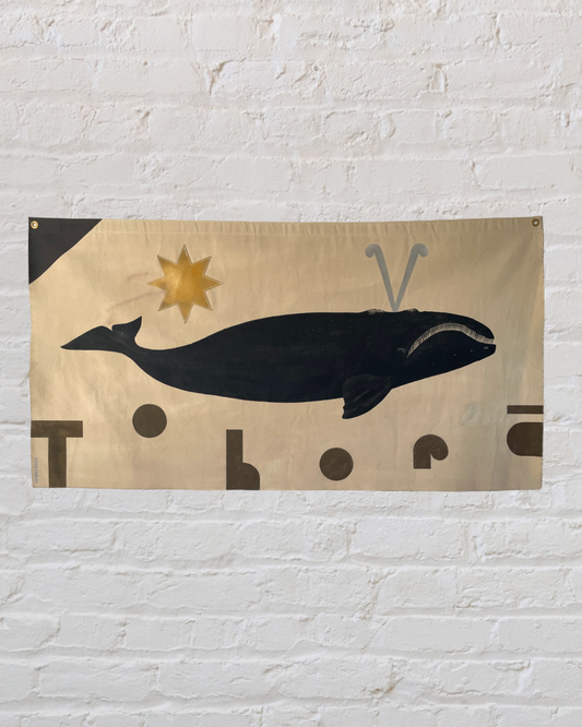 Tohora - Southern Right Whale