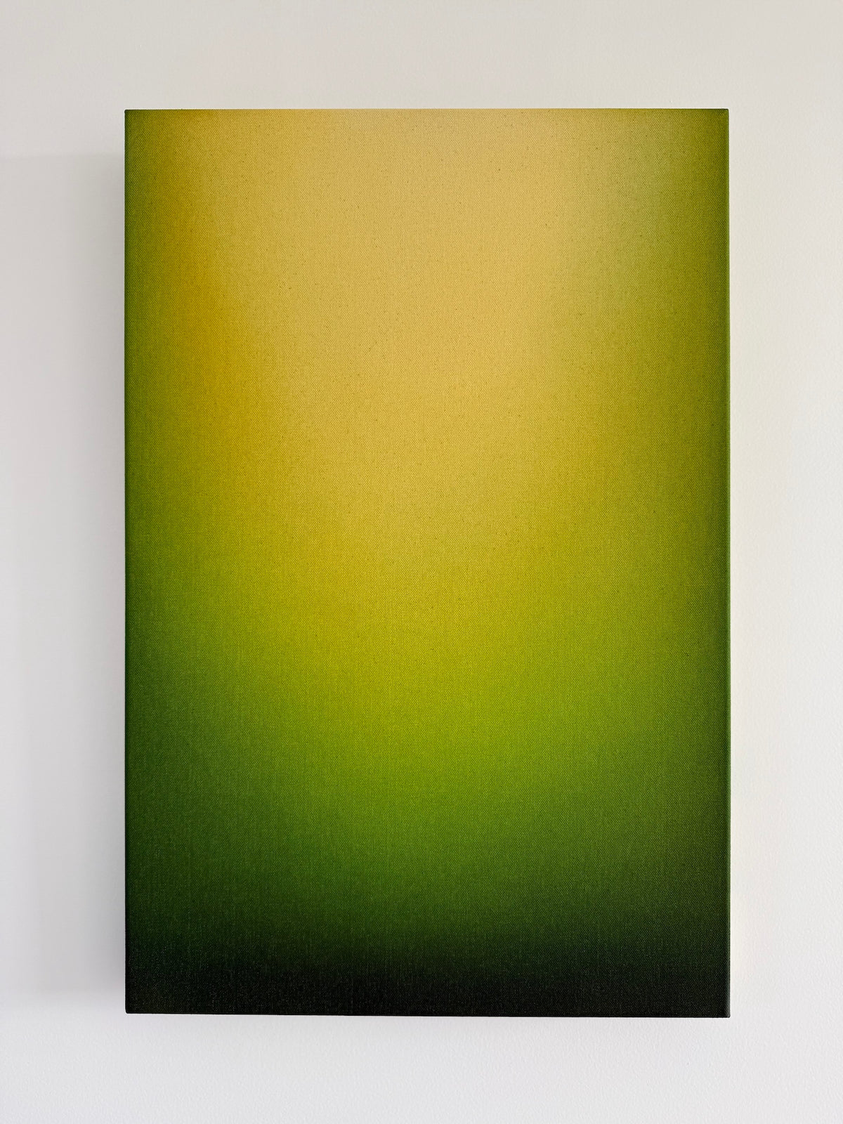 Waikato Light