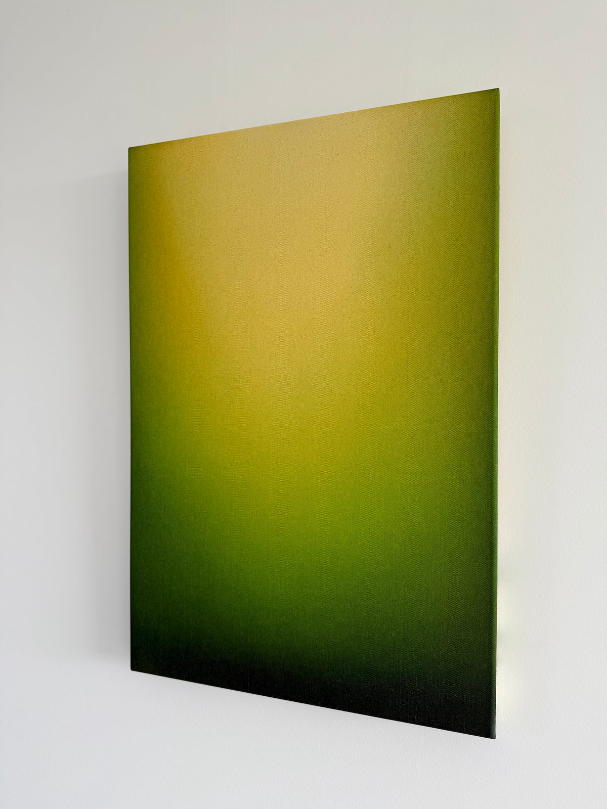 Waikato Light