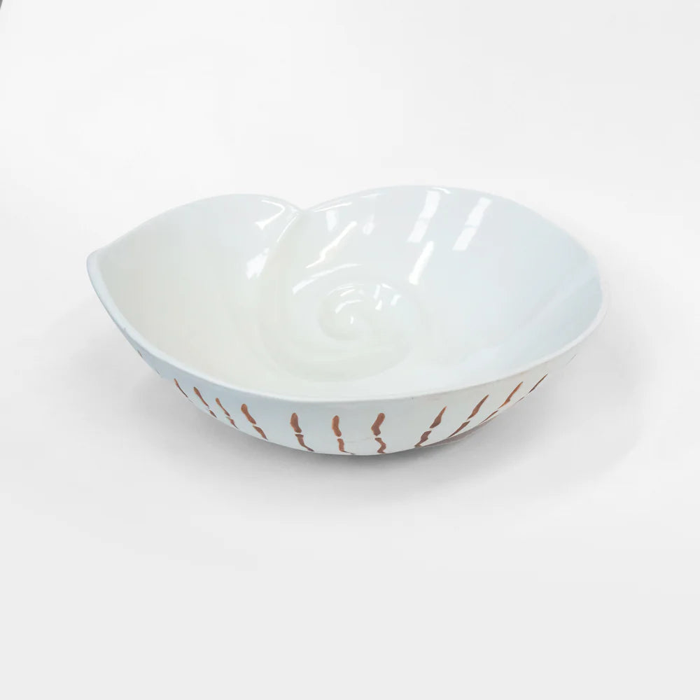 Nautilus Shell Bowls