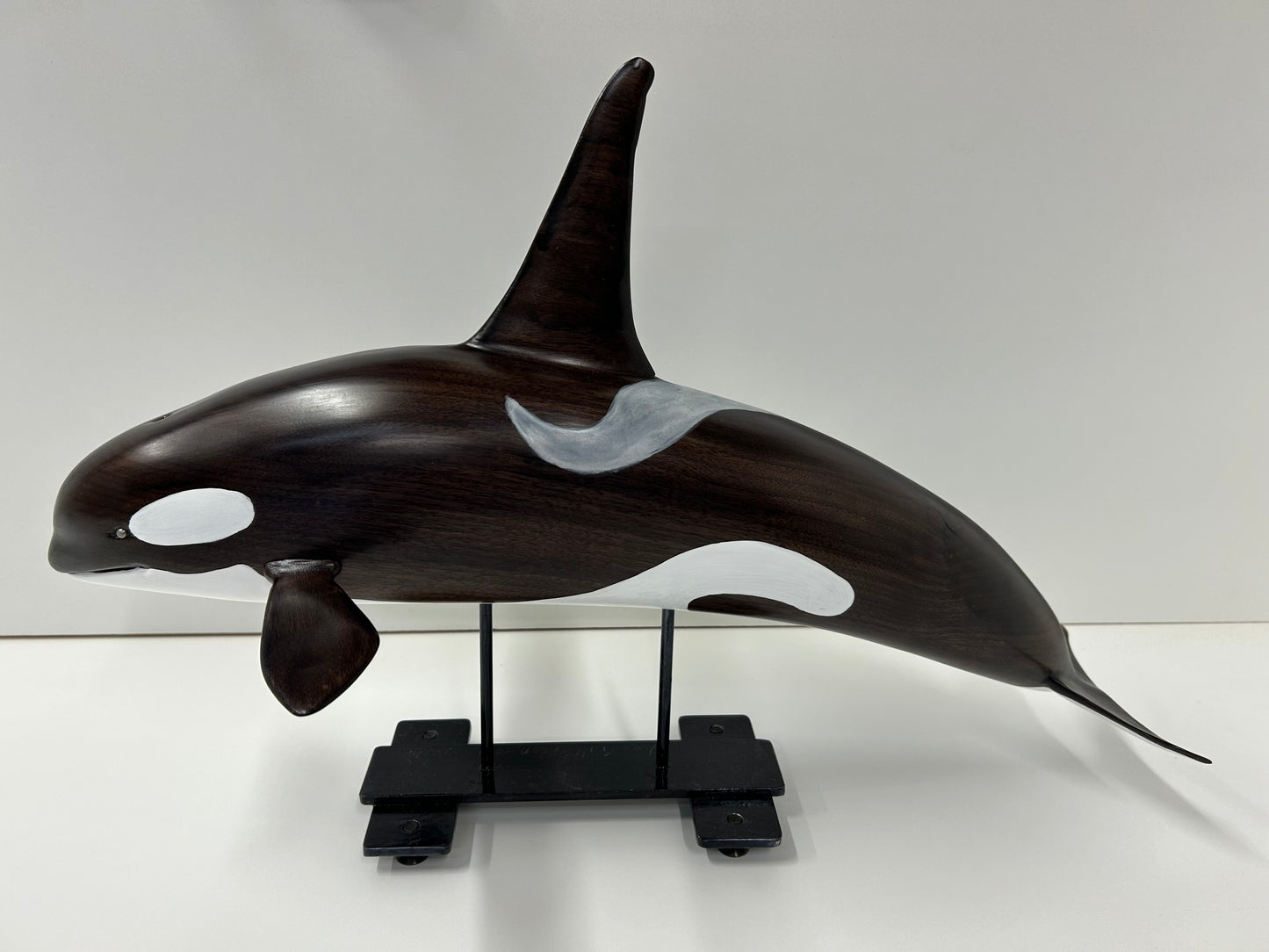 Orca in Walnut