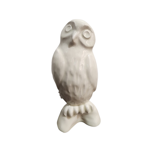 Ruru Owl in White