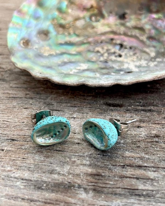 Paua Shell Stud Earrings
