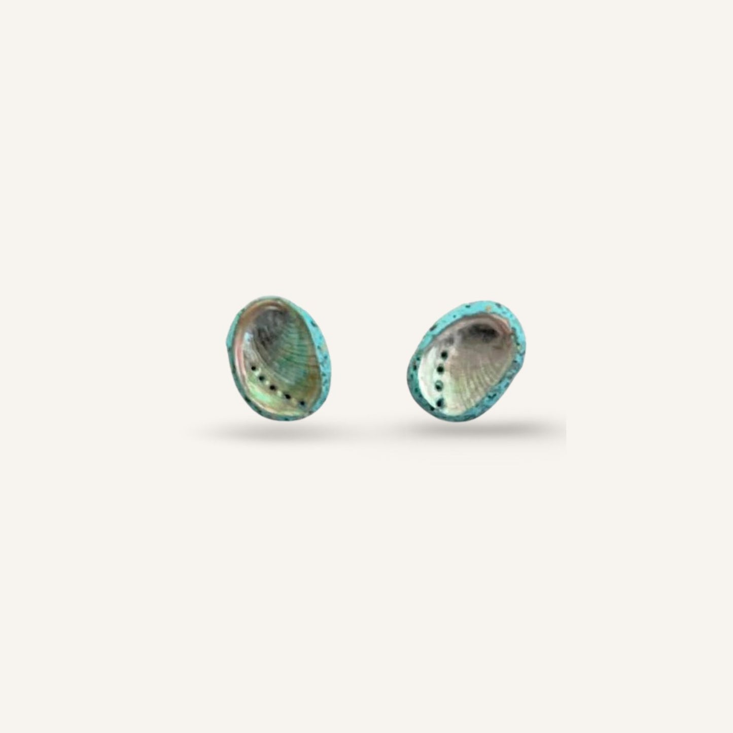 Paua Shell Stud Earrings