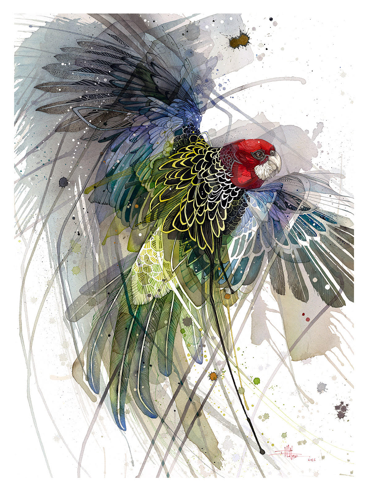 Winter Spark - The Rosella - Original Painting
