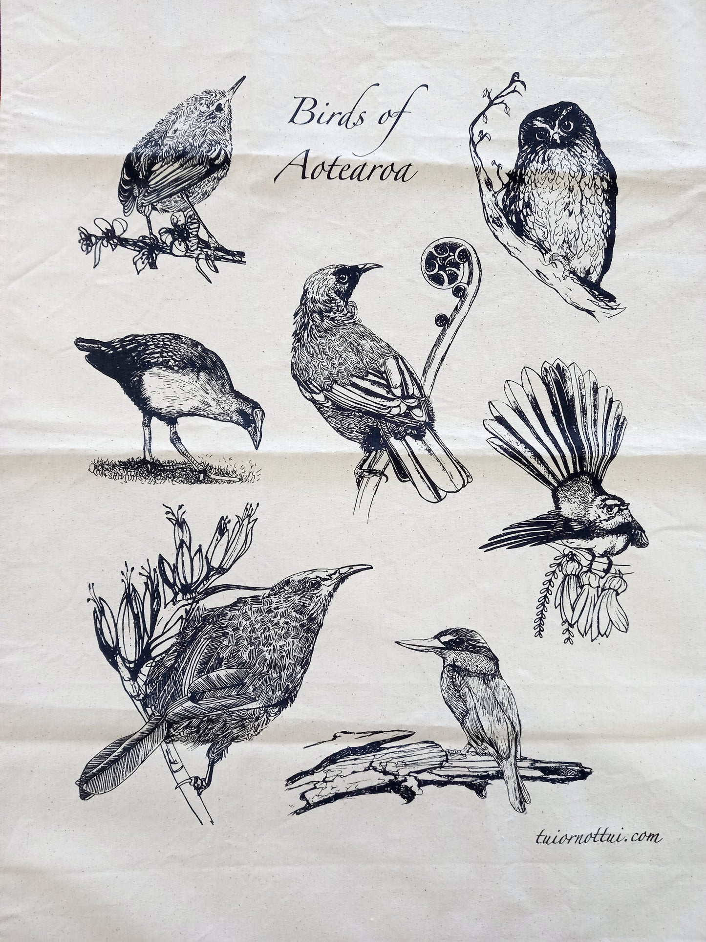 Birds of Aotearoa tea towel
