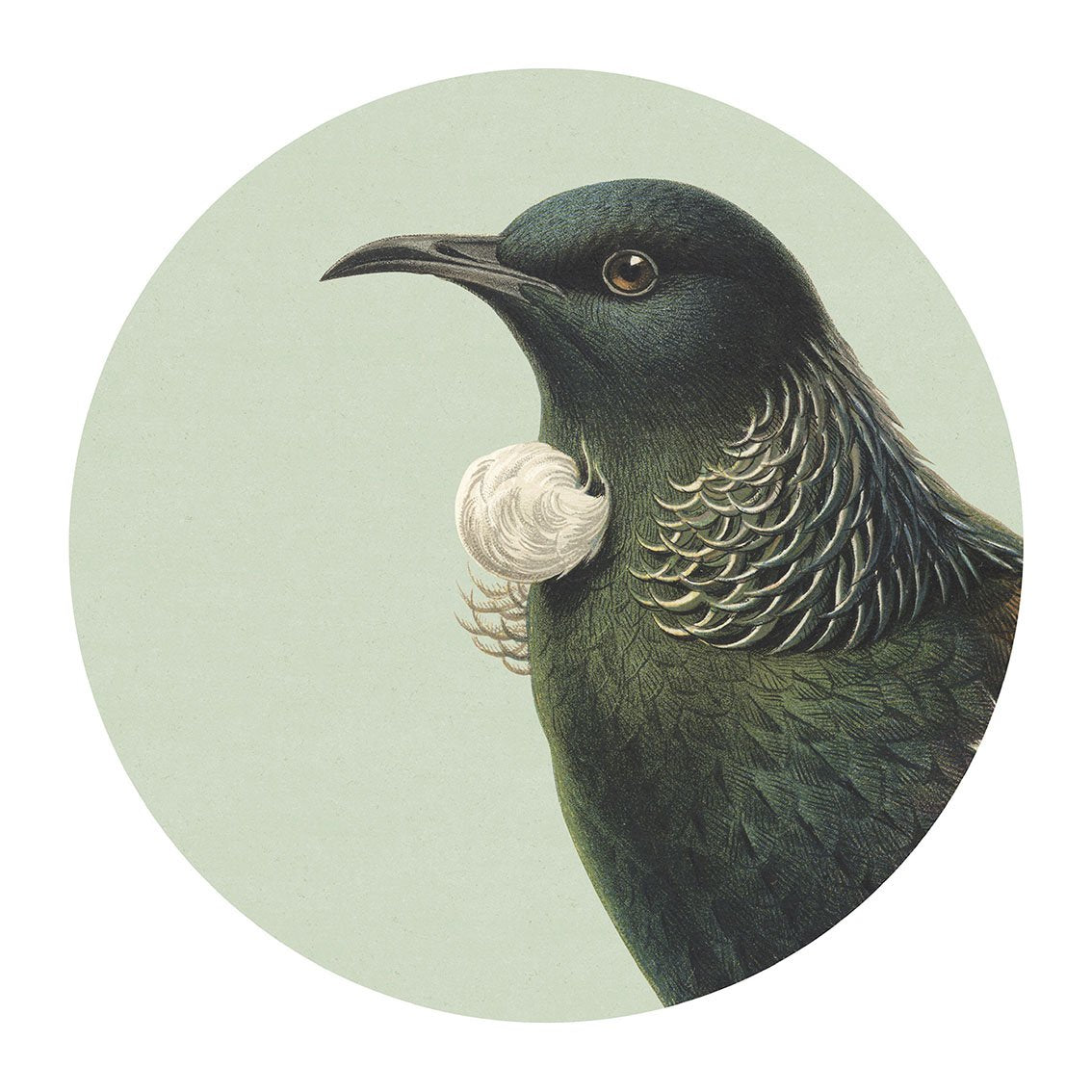 Native Bird Placemats