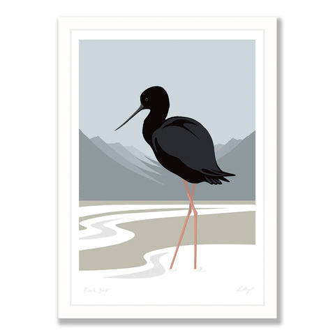 Black Stilt