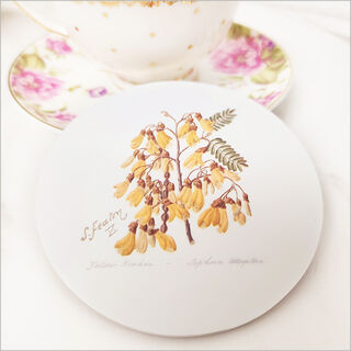 Sarah Featon Coasters