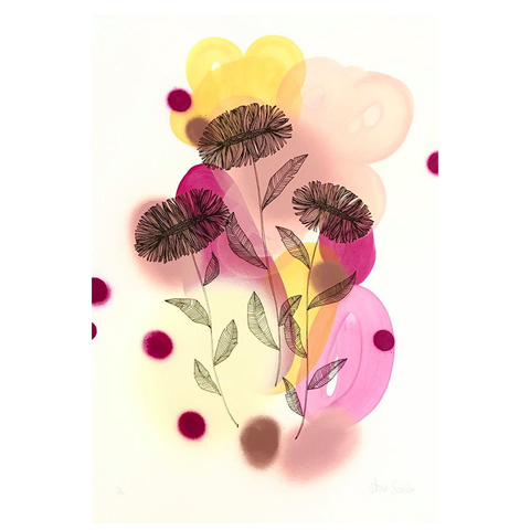 Daisy - Pink