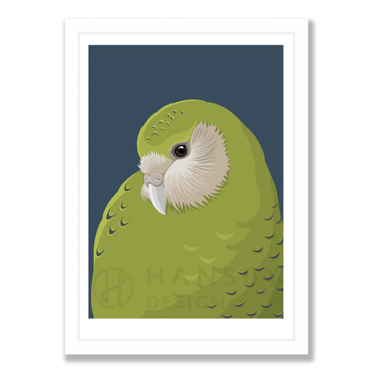 Kakapo Baby