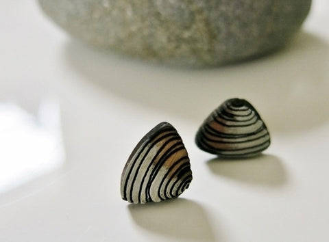 Pipi shell earrings
