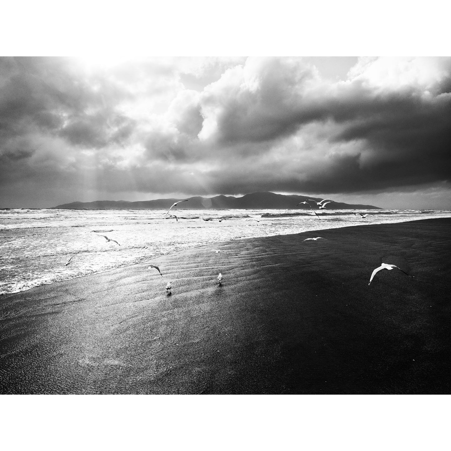 Into The Wind