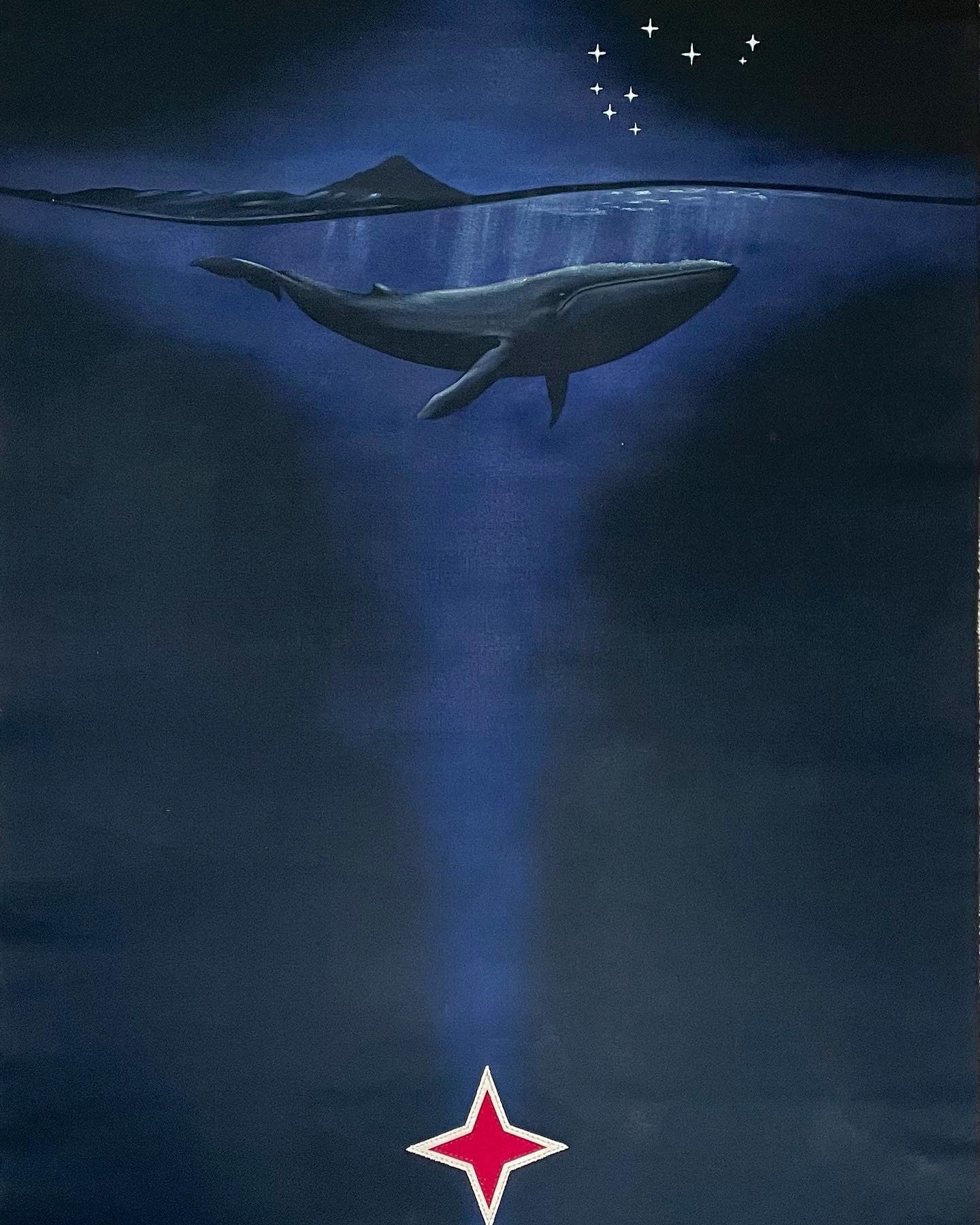 Tohorā Kahurangi - Blue Whale