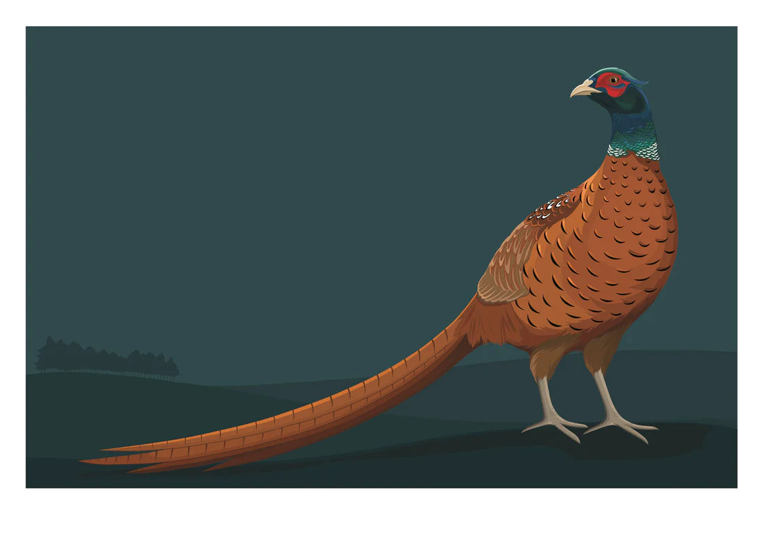 Pheasant at Dawn