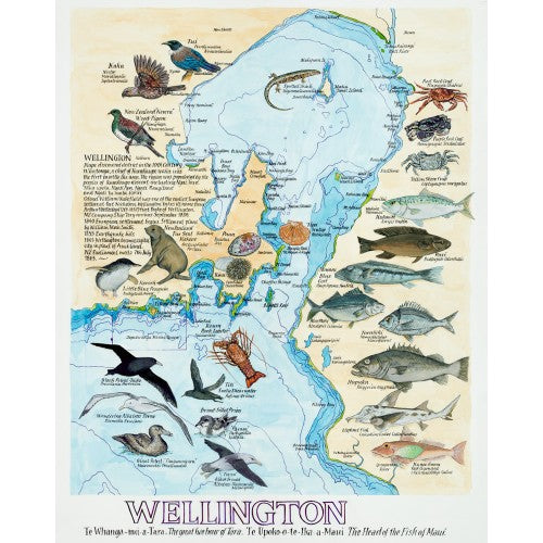 Framed Wellington Harbour Map
