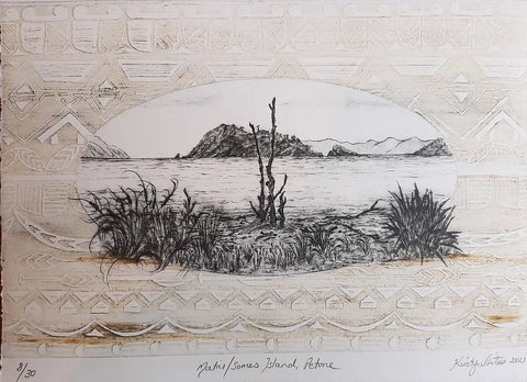 Matiu Somes Island from Petone